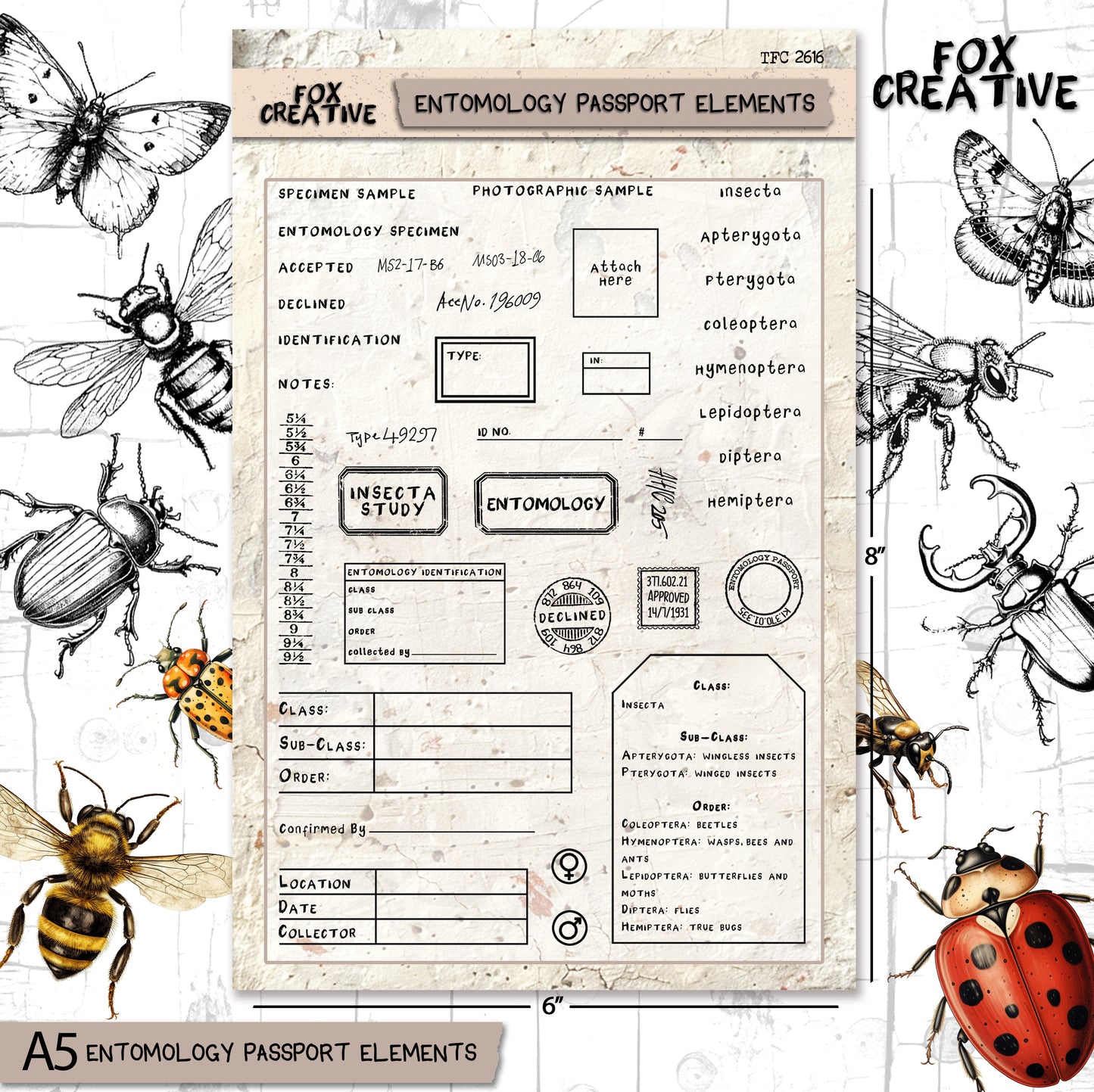Entomology Passport elements – A5 clear stamp set TFC 2616 ( A5 £20.40 inc VAT)