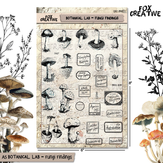 Botanical Lab – Fungi Findings – Toadstool stamps, Victorian Style Handwritten Scientific Labels, Clear Stamp Set (6x8) (£19.20 inc VAT) TFC 2512