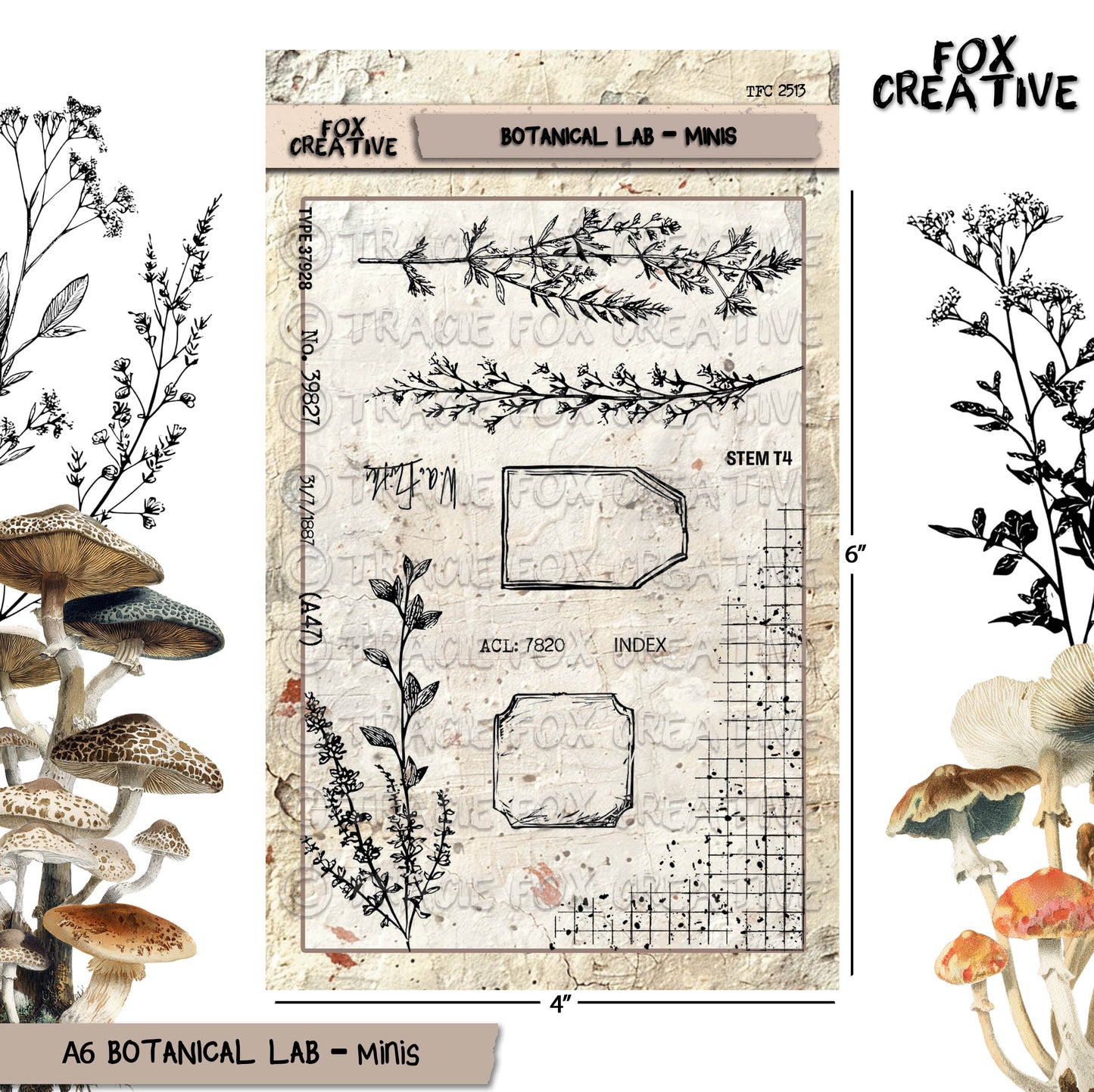 Botanical Lab – Minis – Texture Stamp, Ferns, Labels and Numbers Clear Stamps (4X6) (£11.98 inc VAT)TFC 2513