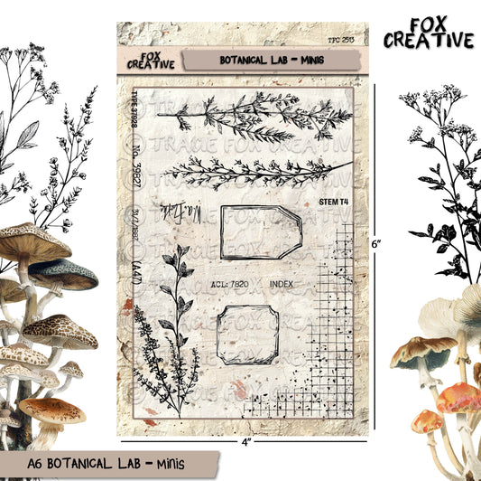 Botanical Lab – Minis – Texture Stamp, Ferns, Labels and Numbers Clear Stamps (4X6) (£11.98 inc VAT)TFC 2513