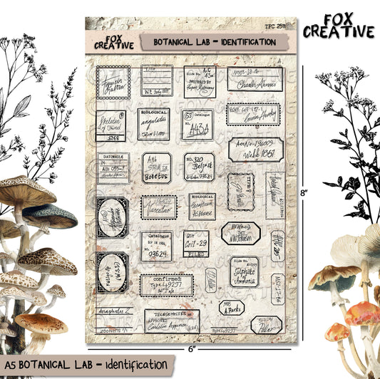 Botanical Lab – Identification Set - Victorian Handwritten, Botanical Scientific Labels, Clear Stamp Set (6x8) (£19.20 inc VAT)TFC 2511