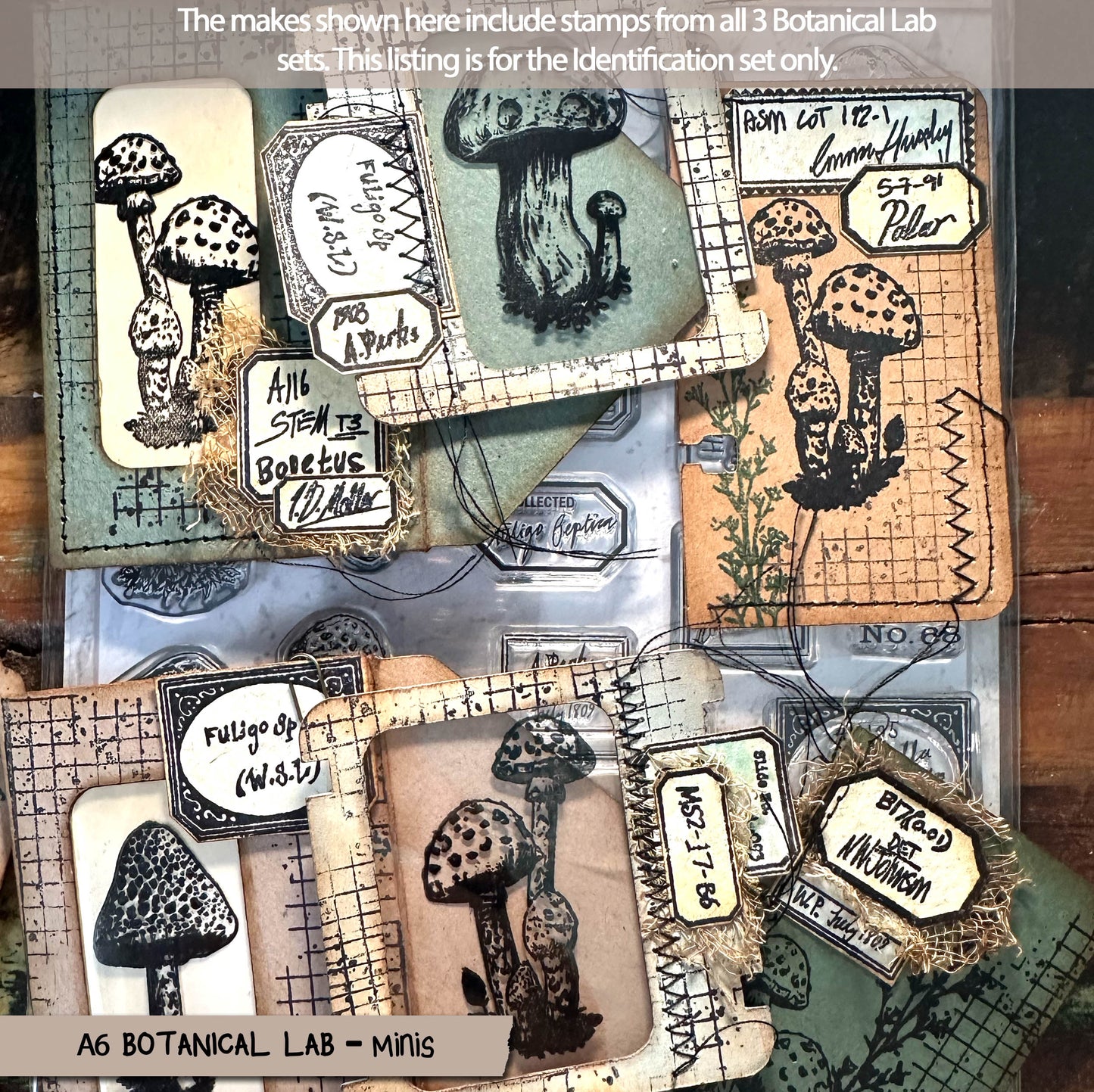 Botanical Lab – Minis – Texture Stamp, Ferns, Labels and Numbers Clear Stamps (4X6) (£11.98 inc VAT)TFC 2513