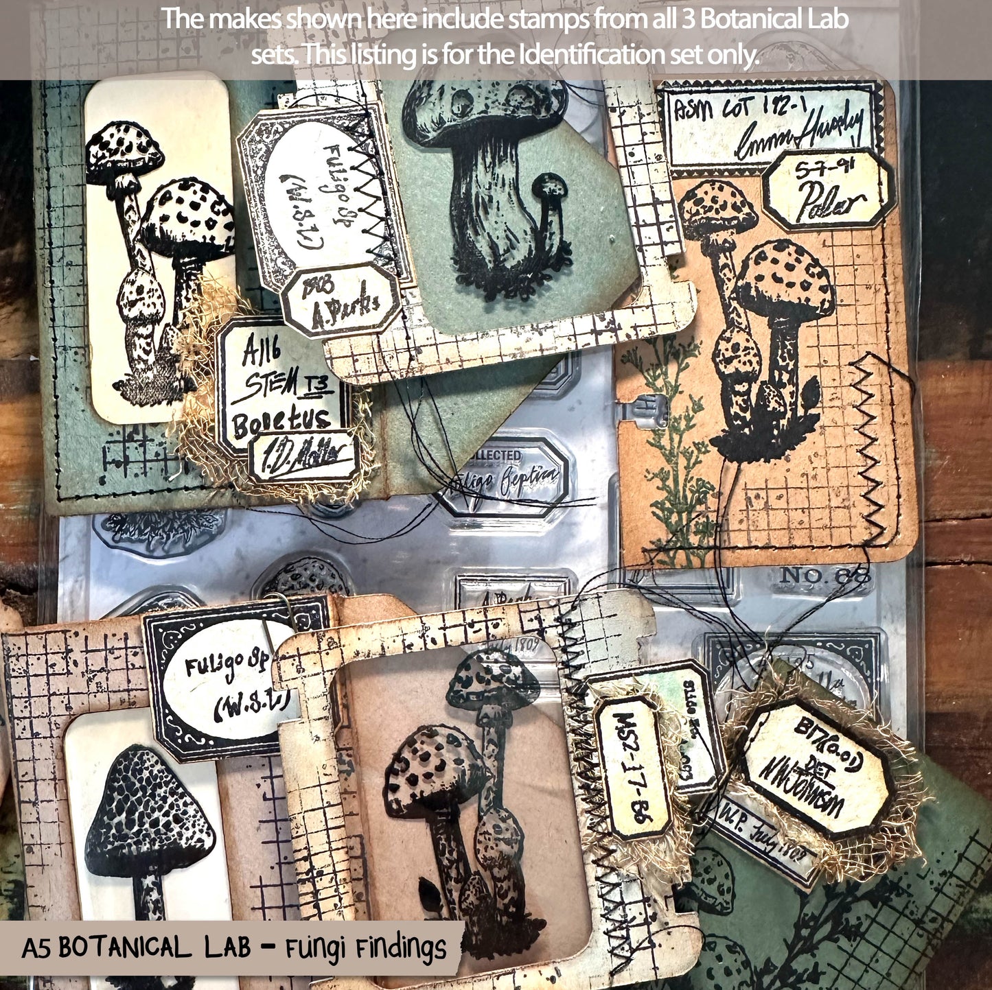 Botanical Lab – Fungi Findings – Toadstool stamps, Victorian Style Handwritten Scientific Labels, Clear Stamp Set (6x8) (£19.20 inc VAT) TFC 2512