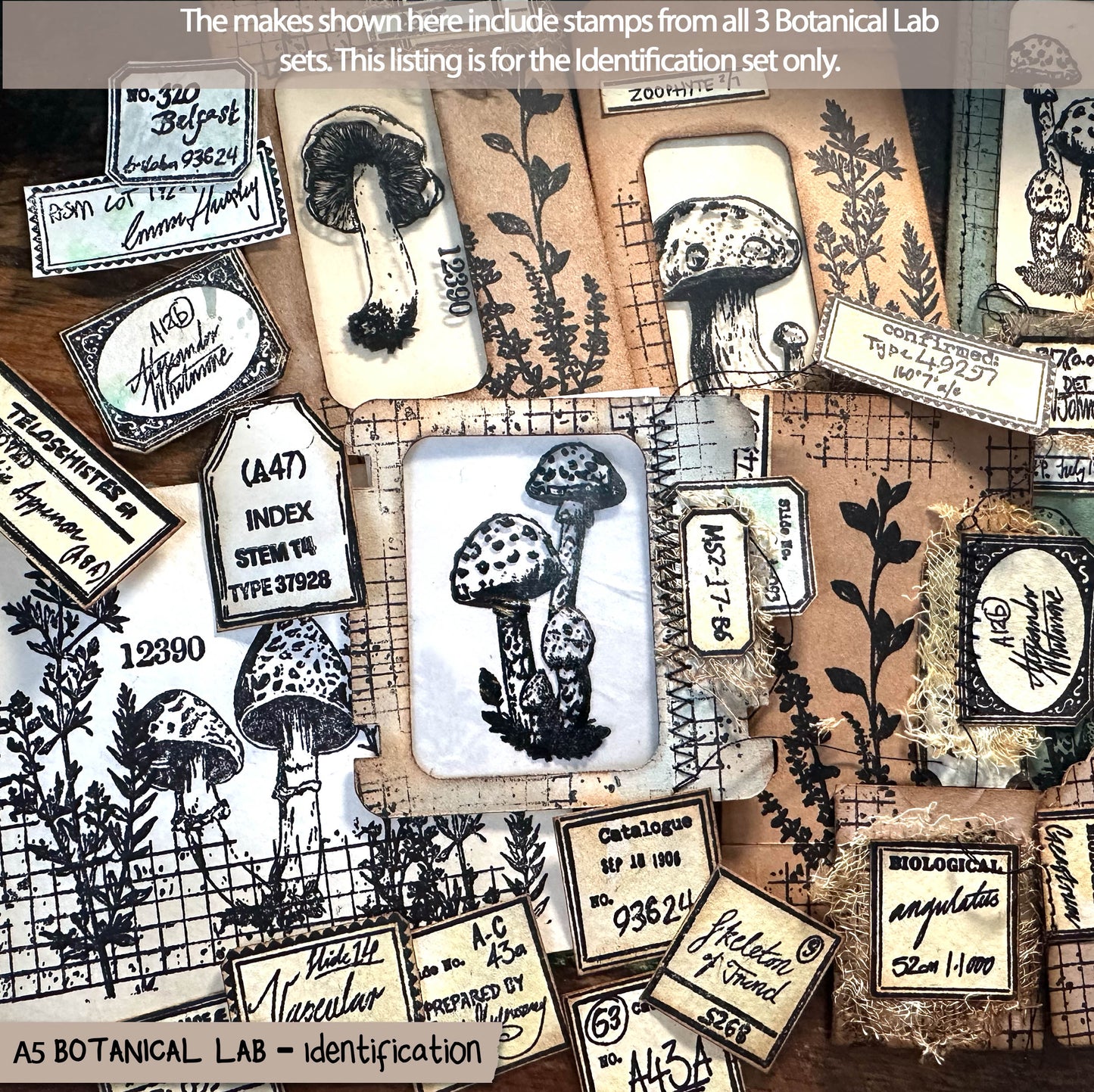 Botanical Lab – Identification Set - Victorian Handwritten, Botanical Scientific Labels, Clear Stamp Set (6x8) (£19.20 inc VAT)TFC 2511