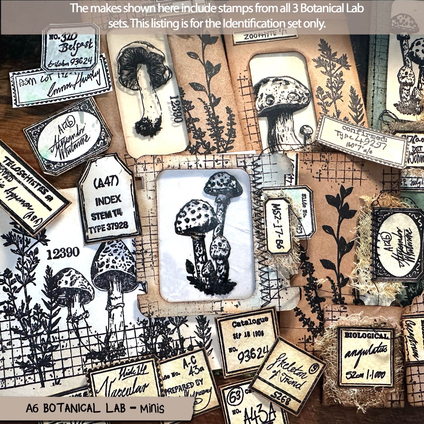 Botanical Lab – Minis – Texture Stamp, Ferns, Labels and Numbers Clear Stamps (4X6) (£11.98 inc VAT)TFC 2513