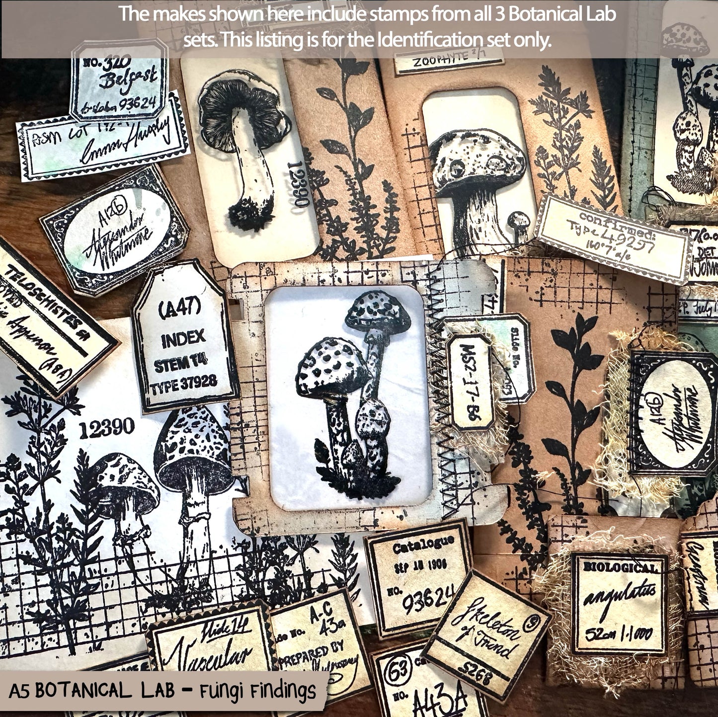 Botanical Lab – Fungi Findings – Toadstool stamps, Victorian Style Handwritten Scientific Labels, Clear Stamp Set (6x8) (£19.20 inc VAT) TFC 2512