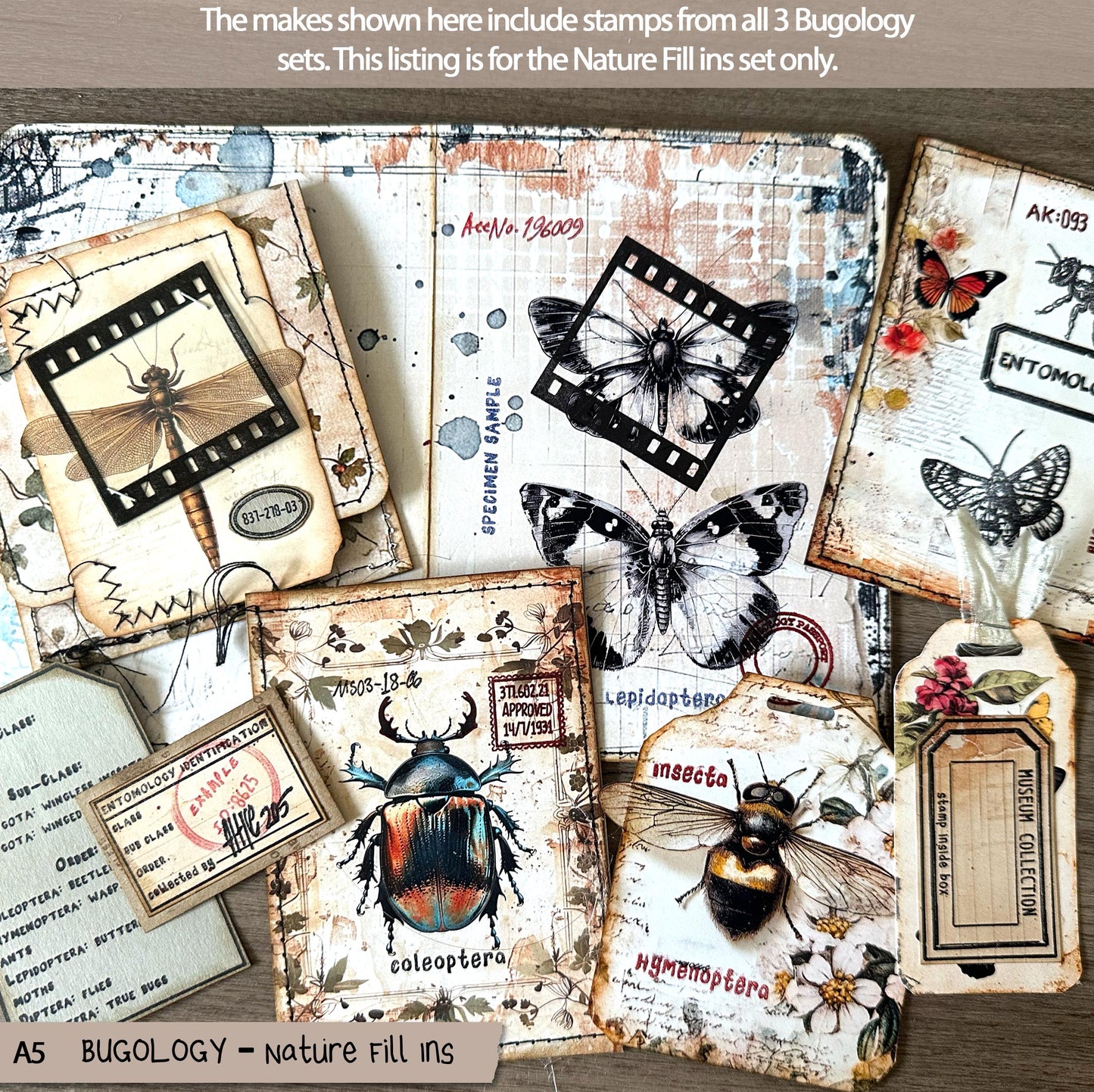 Nature Fill Ins – A5 Clear Stamp Set TFC 2617 (£20.40 Inc VAT)