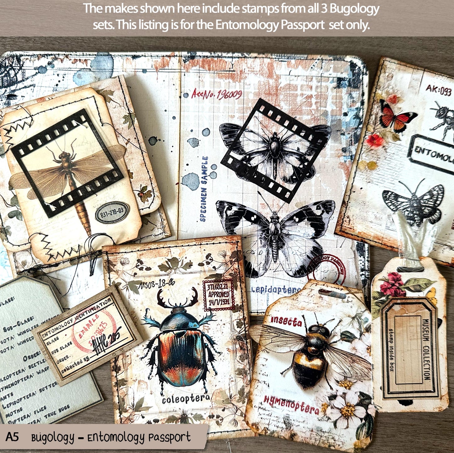 Entomology Passport elements – A5 clear stamp set TFC 2616 ( A5 £20.40 inc VAT)